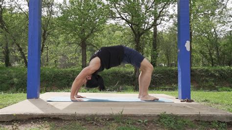 calisthenics bridge|More.